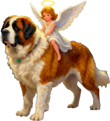 Luna on St. Bernard